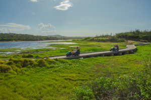 Aruba International Pro-Am Golf Tournament