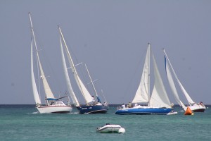 ArubaRegatta3